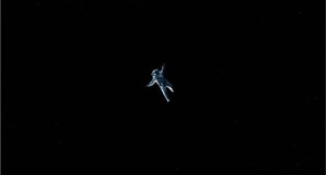 gravity-imax-poster-sandra-bullock-george-clooney-small