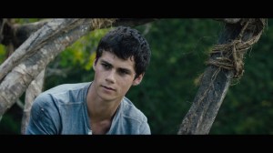 the-maze-runner-trailer-dylan-obrien